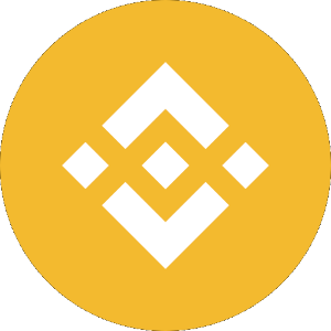 Binance Coin (BNB)