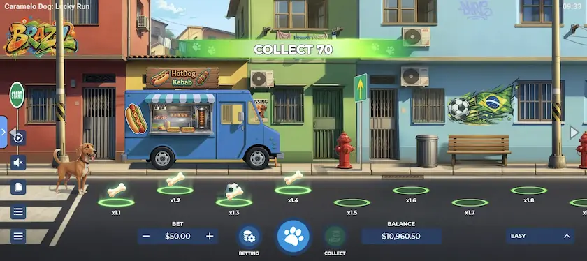 Caramelo Dog Lucky Run